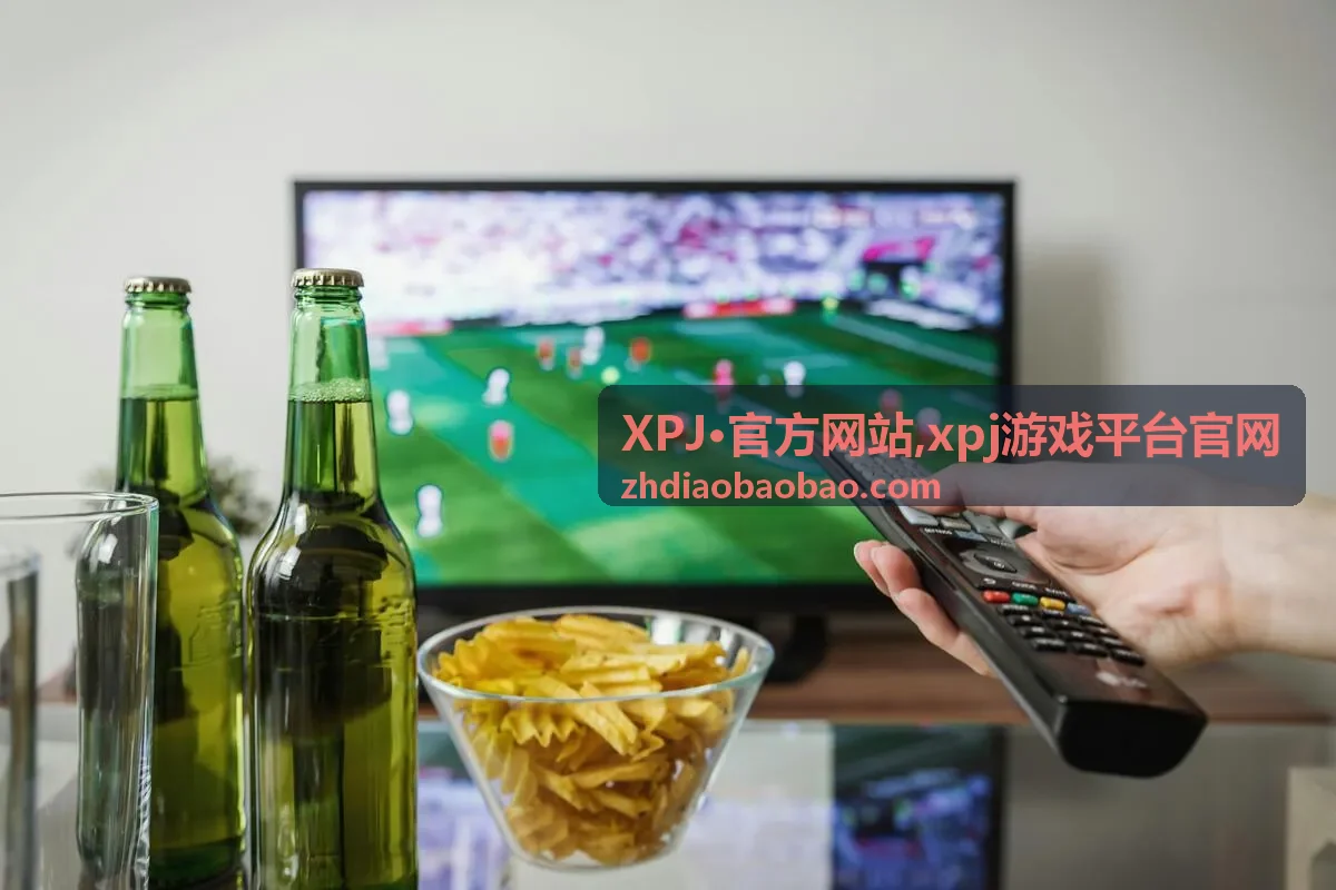 XPJ·官方网站平台栏目与访问说明示意图